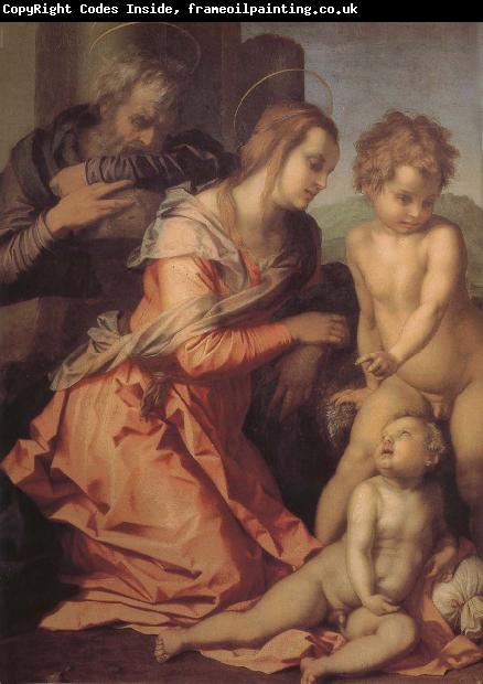 Andrea del Sarto Holy family